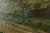 Thumbnail image 15