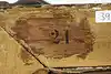 Thumbnail image 14