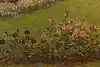 Thumbnail image 10