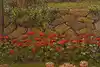 Thumbnail image 12
