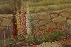 Thumbnail image 9