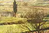 Thumbnail image 8