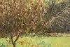 Thumbnail image 9