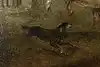 Thumbnail image 10