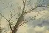 Thumbnail image 10