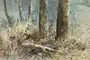 Thumbnail image 11