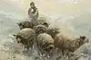 Thumbnail image 7