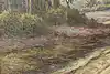 Thumbnail image 10