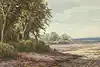 Thumbnail image 8