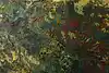 Thumbnail image 13