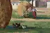 Thumbnail image 9