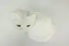 Thumbnail image 8