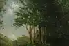 Thumbnail image 7