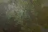 Thumbnail image 14