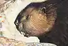 Thumbnail image 7
