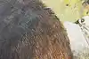 Thumbnail image 9