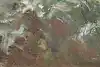 Thumbnail image 15