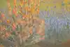 Thumbnail image 10