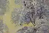 Thumbnail image 6