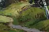 Thumbnail image 9
