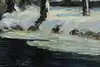 Thumbnail image 8