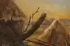 Thumbnail image 8