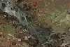 Thumbnail image 12