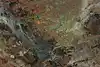 Thumbnail image 13