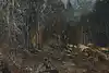 Thumbnail image 14