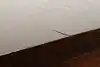 Thumbnail image 21