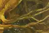 Thumbnail image 7