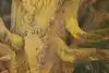 Thumbnail image 9