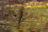 Thumbnail image 7