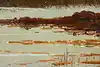Thumbnail image 9