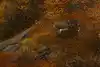 Thumbnail image 9