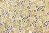 Thumbnail image 9