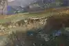 Thumbnail image 10
