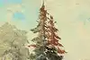 Thumbnail image 8