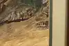Thumbnail image 10