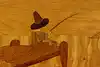 Thumbnail image 7