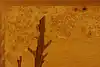 Thumbnail image 8
