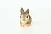 Thumbnail image 5