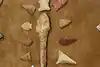 Thumbnail image 8