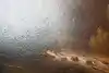 Thumbnail image 10