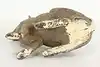 Thumbnail image 8