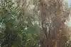 Thumbnail image 10