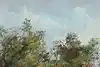 Thumbnail image 9