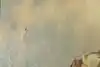 Thumbnail image 9