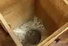 Thumbnail image 22