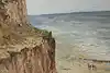 Thumbnail image 10